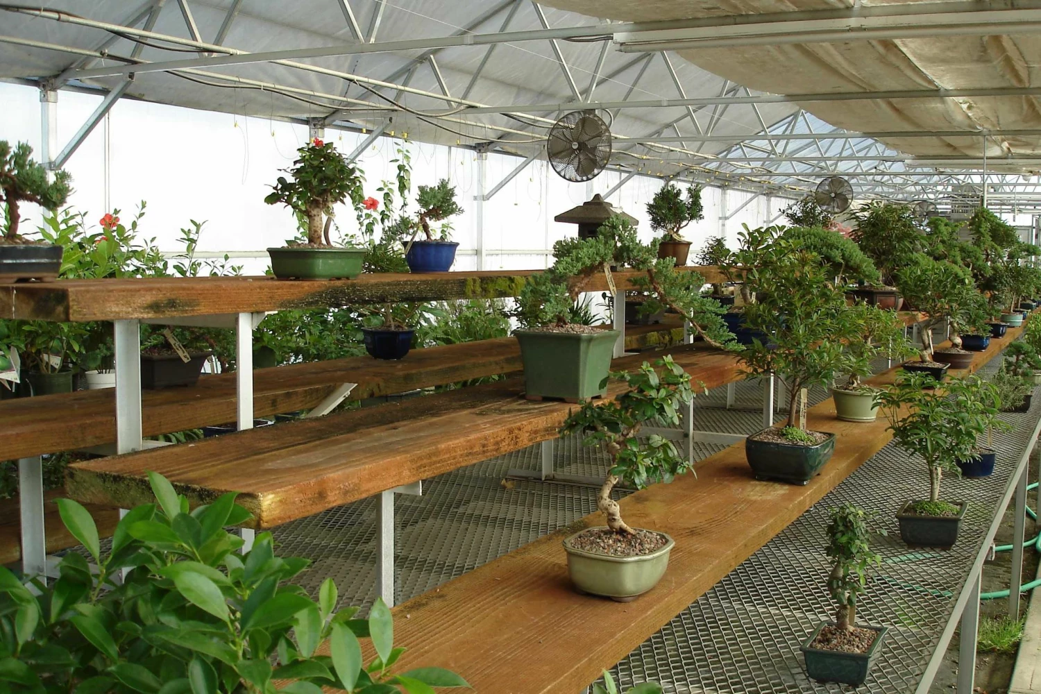 Outlet Vasesource Store -Outlet Vasesource Store 4654