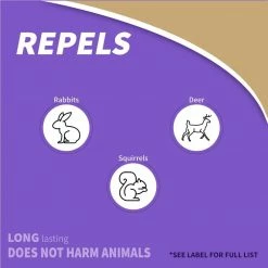 Bonide 32 oz. Hot Pepper Wax Animal Repel Ready-to-Use 11 Bonide 32 oz. Hot Pepper Wax Animal Repel Ready-to-Use -Outlet Vasesource Store bonide animal repellents 127 4f 1000