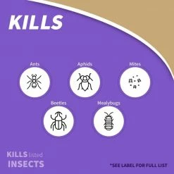 Bonide CAPTAIN JACK'S Citrus, Fruit, & Nut Orchard Conc, 32 oz -Outlet Vasesource Store bonide bug killer spray 2186 fa 1000