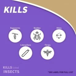 Bonide Captain Jack Dead Bug Brew Concentrate -Outlet Vasesource Store bonide bug killer spray 253 4f 1000