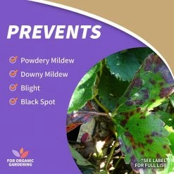 Bonide 16 oz. Liquid Copper Fungicide Concentrate 14 Bonide 16 oz. Liquid Copper Fungicide Concentrate -Outlet Vasesource Store bonide fruit vegetable disease control 811 fa 1000