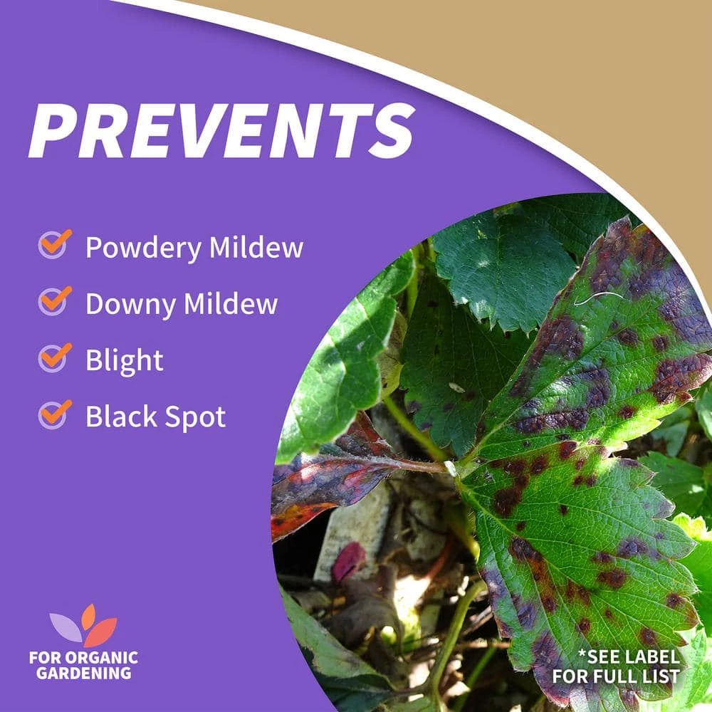 Bonide 16 oz. Liquid Copper Fungicide Concentrate 8 Bonide 16 oz. Liquid Copper Fungicide Concentrate - Image 6