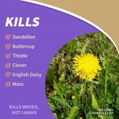 Bonide Captain Jack's Lawnweed Brew CA RTU Gal Battery Powered Wand -Outlet Vasesource Store bonide organic weed killer 26022 fa 1000