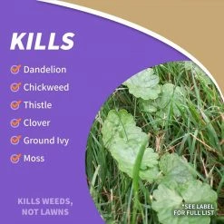 Bonide 32 oz. Lawnweed Brew Concentrate -Outlet Vasesource Store bonide organic weed killer 2611 76 1000