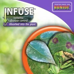 Bonide 16 oz. Infuse Systemic Disease Control Concentrate -Outlet Vasesource Store bonide plant flower disease control 148 1f 1000