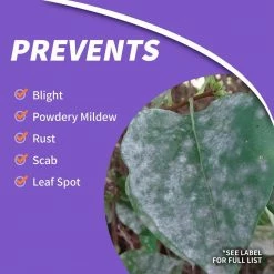 Bonide 16 oz. Infuse Systemic Disease Control Concentrate -Outlet Vasesource Store bonide plant flower disease control 148 fa 1000