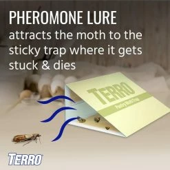 TERRO Non-Toxic Indoor Pantry Moth Trap (2-Count) -Outlet Vasesource Store cream terro insect traps t2900 4f 1000