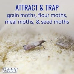 TERRO Non-Toxic Indoor Pantry Moth Trap (2-Count) -Outlet Vasesource Store cream terro insect traps t2900 c3 1000