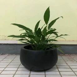 DurX-litecrete Large 19.7 in. x 19.7 in. x 9.8 in. Granite Color Lightweight Concrete Modern Low Bowl Planter -Outlet Vasesource Store granite durx litecrete plant pots yc 0051c c60121 40 1000