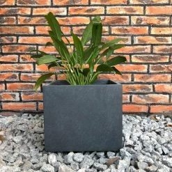 DurX-litecrete Medium 11.8 in. x 11.8 in. x 11.8 in. Granite Lightweight Concrete Modern Square Planter