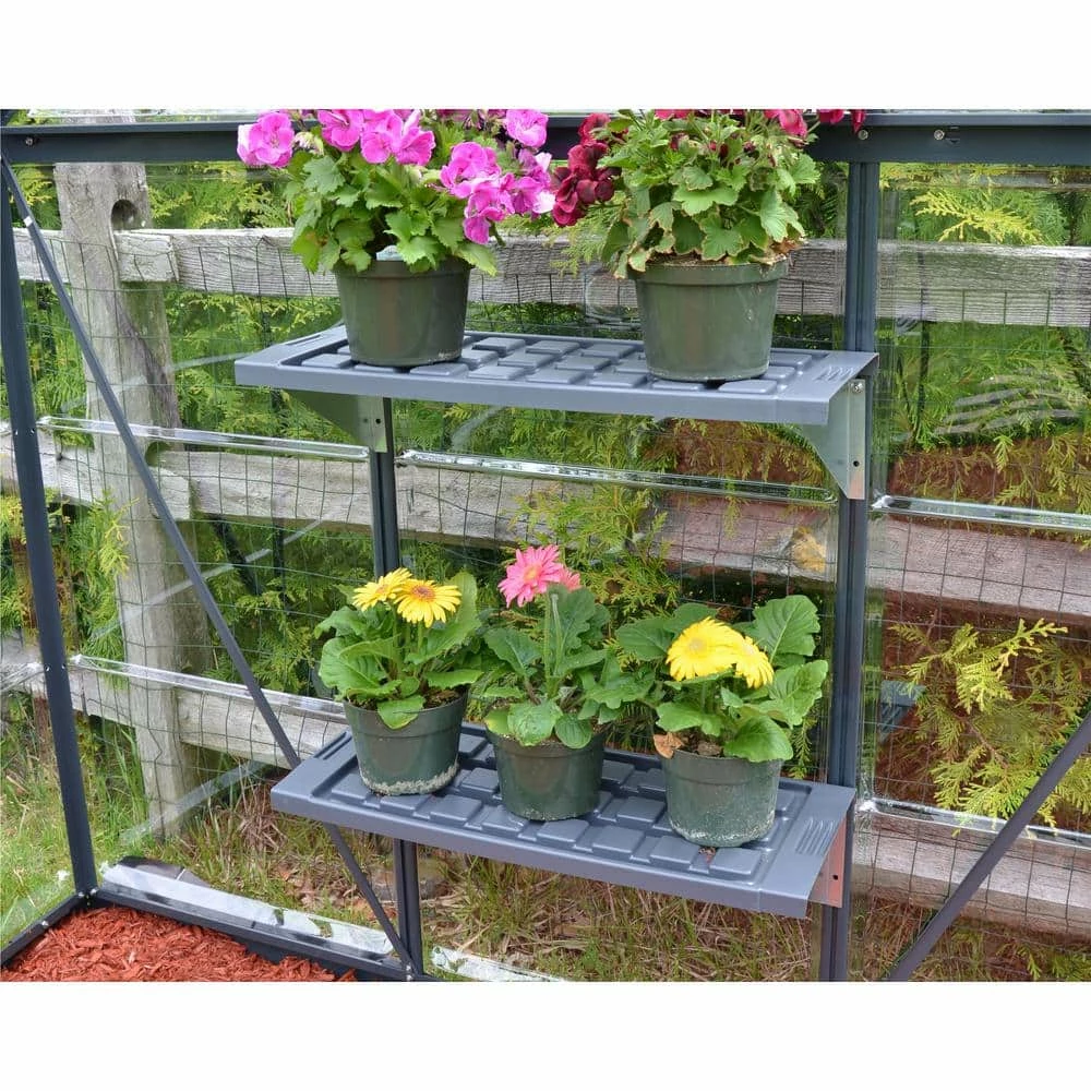 CANOPIA by PALRAM Greenhouse Plastic Shelf- Pack of 2 7 CANOPIA by PALRAM Greenhouse Plastic Shelf- Pack of 2 - Image 5