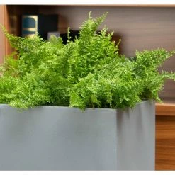 Vasesource Bristol 39 in. x 13.75 in. x 13.75 in. Gray Fiberstone Planter 10 Vasesource Bristol 39 in. x 13.75 in. x 13.75 in. Gray Fiberstone Planter -Outlet Vasesource Store gray vasesource plant pots bristol391414cm 4f 1000