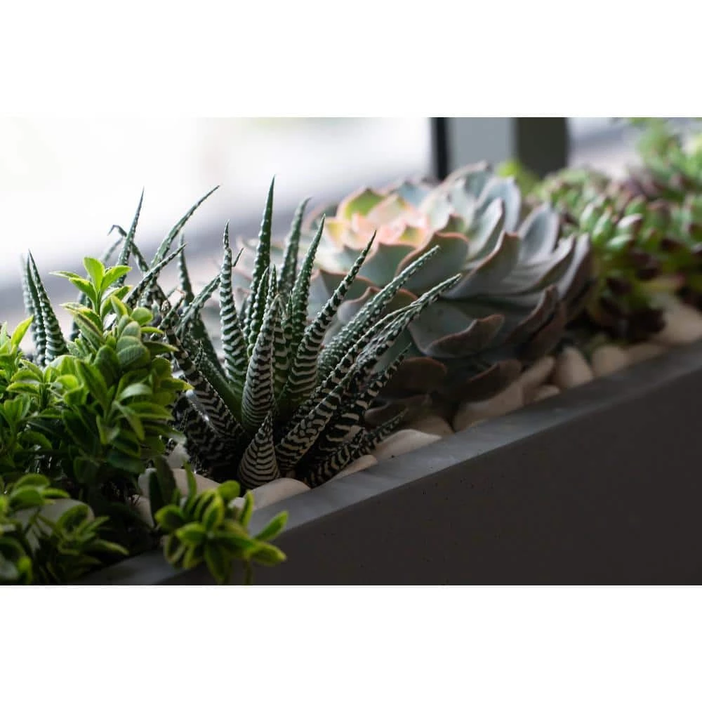 Vasesource Carlo 8 in. x 8 in. x 32 in. Gray Fiberstone Planter 6 Vasesource Carlo 8 in. x 8 in. x 32 in. Gray Fiberstone Planter - Image 4