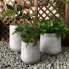 DurX-litecrete Lightweight Concrete Footed Tulip Light Grey Planter (Set of 3) 1 DurX-litecrete Lightweight Concrete Footed Tulip Light Grey Planter (Set of 3) -Outlet Vasesource Store light grey durx litecrete plant pots mf2015022bcd c1 64 1000
