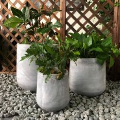 DurX-litecrete Lightweight Concrete Footed Tulip Light Grey Planter (Set of 3)