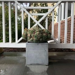 DurX-litecrete 15.00 in. Light Grey Lightweight Concrete Square Stripped Medium Planter -Outlet Vasesource Store light grey durx litecrete plant pots yf 0128b c80021 77 1000