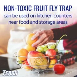 TERRO Indoor Fruit Fly Trap (2-Count) -Outlet Vasesource Store red terro insect traps t2502 e1 1000