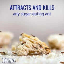 TERRO 2 oz. Indoor Liquid Ant Killer -Outlet Vasesource Store terro bug killer spray t200 12 76 1000