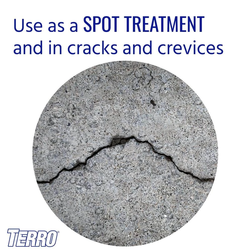TERRO 16 oz. Ant Killer Aerosol Spray 6 TERRO 16 oz. Ant Killer Aerosol Spray - Image 4