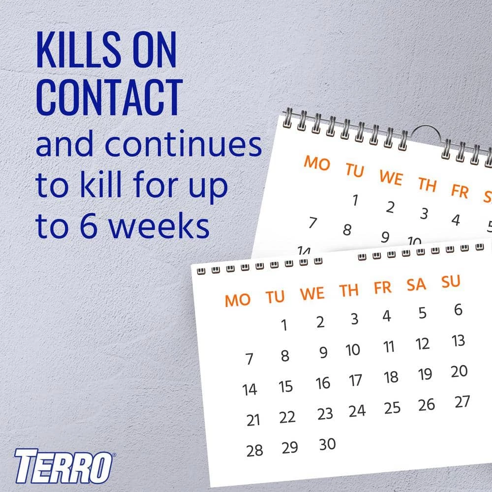 TERRO 16 oz. Ant Killer Aerosol Spray 5 TERRO 16 oz. Ant Killer Aerosol Spray - Image 3