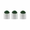 TIKI 5.5 in. Table Torch Glass Succulent White 3-Pack -Outlet Vasesource Store tiki citronella candles torches 112012368 64 1000