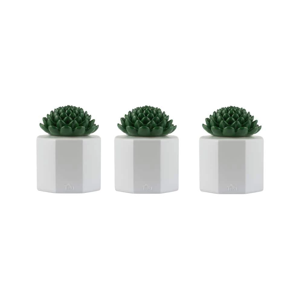 TIKI 5.5 in. Table Torch Glass Succulent White 3-Pack 3 TIKI 5.5 in. Table Torch Glass Succulent White 3-Pack