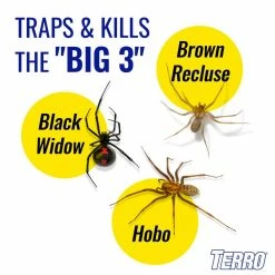 TERRO Non-Toxic Spider and Insect Trap (4-Count) -Outlet Vasesource Store white terro insect traps t3206 1f 1000