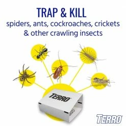 TERRO Non-Toxic Spider and Insect Trap (4-Count) -Outlet Vasesource Store white terro insect traps t3206 4f 1000