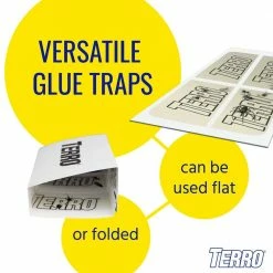 TERRO Non-Toxic Spider and Insect Trap (4-Count) -Outlet Vasesource Store white terro insect traps t3206 76 1000