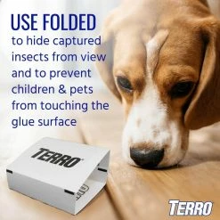 TERRO Non-Toxic Spider and Insect Trap (16-Count) -Outlet Vasesource Store white terro insect traps t3206vb4 66 1000